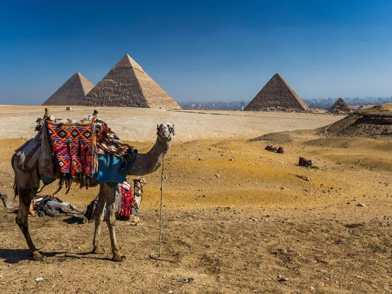 (individual)Light tour to The pyramids and the castle 160$ (1-5 people)