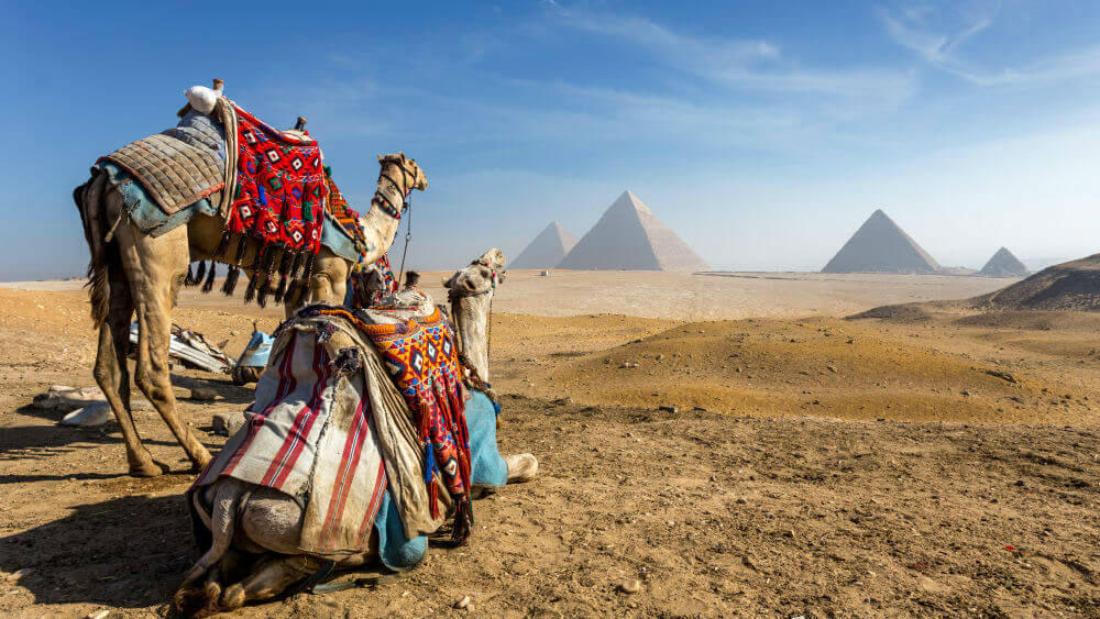 Экскурсии в Египте из Шарм эль Шейха, Махмуд Рамзесов